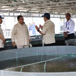 Prabowo Kunjungi Tambak Ikan Nila Salin di Karawang, Cek Potensi Bahan Makan Bergizi Gratis