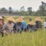 Bupati Blitar Terbitkan SE Pengadaan Gabah 2025, Petani Dijamin Harga Rp6.500 per Kg