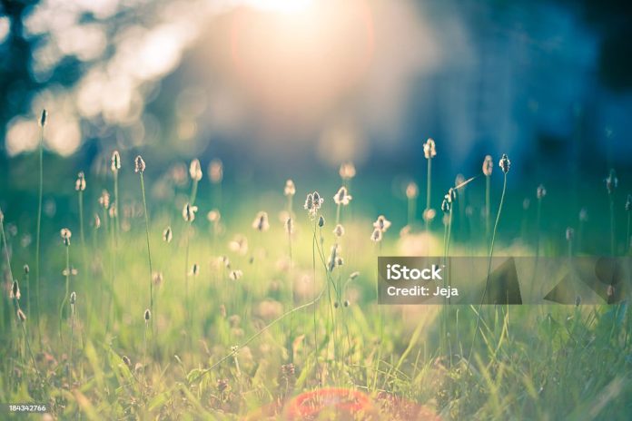 istockphoto-184342766-1024x1024