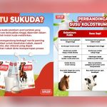 Rutin Minum Sukuda, Paru-Paru Ringan, Hidup Pun Lega! Rahasia Sehat dari Susu Kuda Liar Asal Lombok