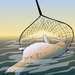 Dua Remaja Tertangkap Basah Curi Ikan di Kolam Warga Gondang, Tulungagung