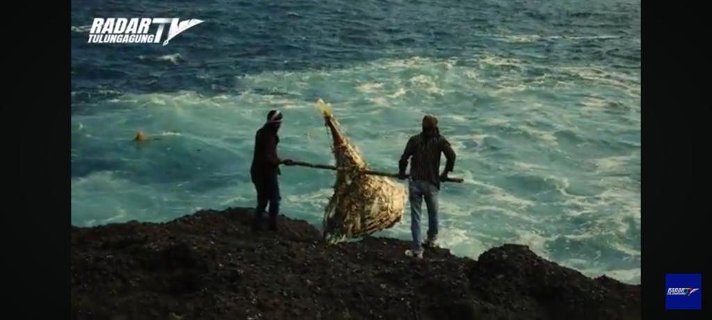 Mengungkap Sejarah Larung Sesaji: Tradisi Sakral Pesisir Selatan