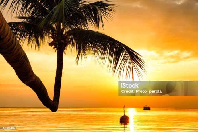 istockphoto-1011165866-1024x1024