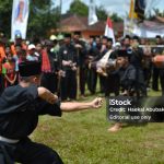 Sering Konvoi dan Anarkis, Apa Sebenarnya Fungsi dari Perguruan Silat PSHT untuk Masyarakat?
