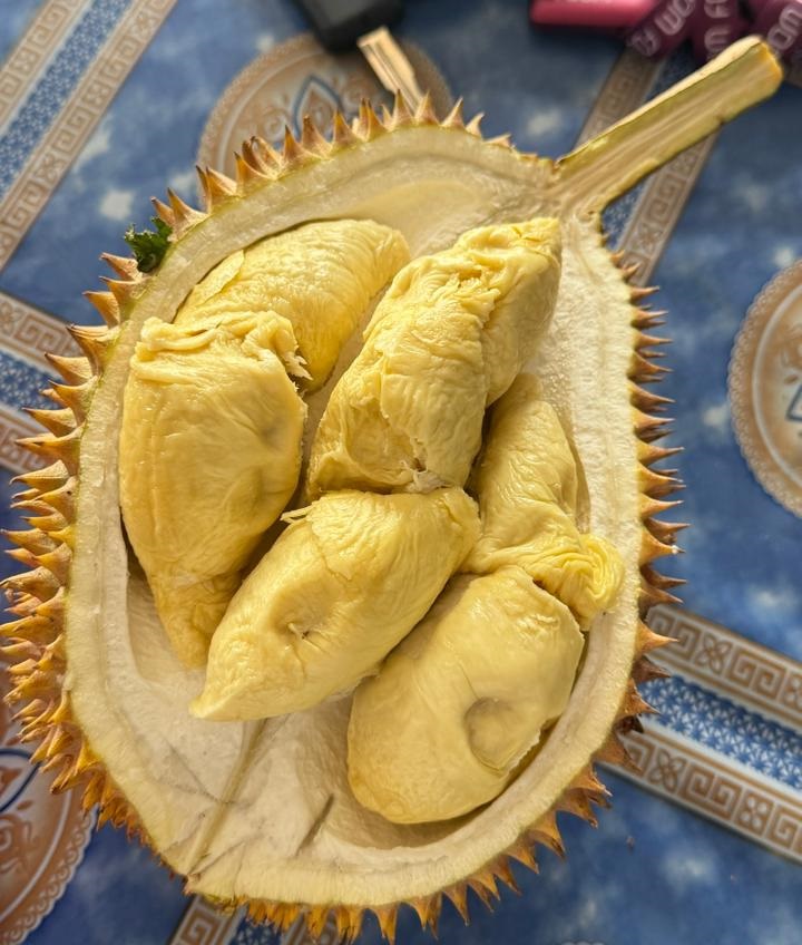 Blitar Mengawali Musim Durian, Yuks Berkunjung ke Blitar!