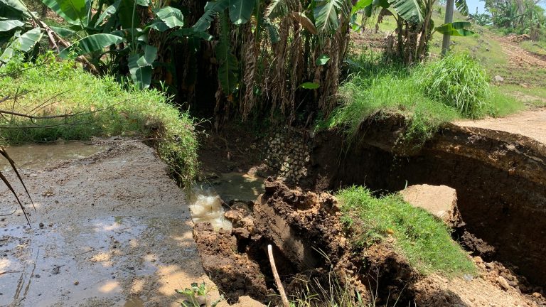 Musim Hujan Tiba, Saatnya Nyaman, Aman, dan Sehat Bersama Rintik Langit