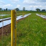 Rencana Pembangunan Tol Kediri-Tulungagung Ditunda, BPN Ungkap Alasannya