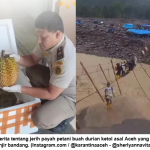Influencer Bagikan Kisah Haru Petani Durian Ketol Aceh Tengah, Bertaruh Nyawa Demi Bertahan Hidup Pasca Banjir