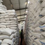 Stok Beras 60 Ribu Ton Bikin Gudang Bulog Tulungagung Overload