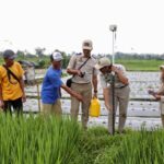 Mau Ikut PTSL? Ketahui Biaya Persiapannya yang Berlaku di Masing-Masing Wilayah
